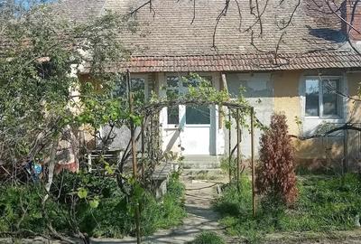 Casă cu Teren 1897 Mp în Ghilad - 2