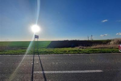 Teren agricol extravilan de 10000 mp, în Fântânele - 3