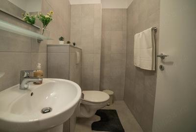 Apartament cu 3 camere decomandat în Lipovei - 5