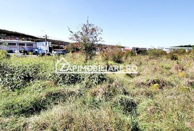 Teren Construcții intravilan de 16476 mp, în Corunca - 7