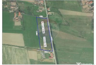 Teren de 9505 mp, în Tileagd - 2