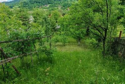 Teren de 800 mp, în Ibănești - 4