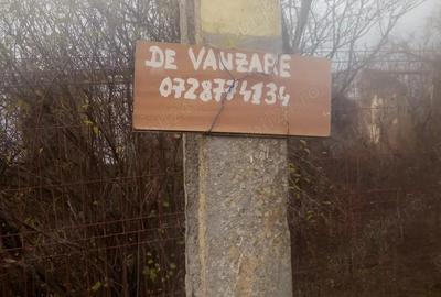 Teren de 2500 mp, în Băduleasa - 8