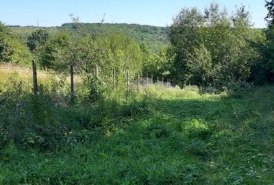 Teren agricol extravilan de 4400 mp, în Păun - 6