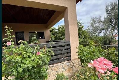 Casă cu 4 camere cu Teren 1700 Mp în Pietroasele - 8