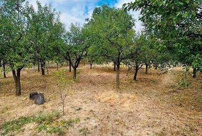 Casă cu Teren 1400 Mp în Sânmartin