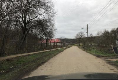 Teren de 3478 mp, în Viișoara - 3