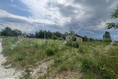 Spațiu comercial, în Daia