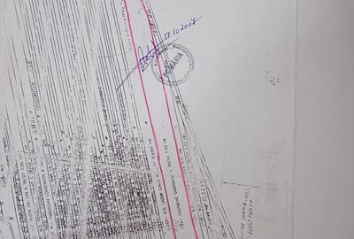 Teren de 15000 mp, în Puchenii Mari - 3