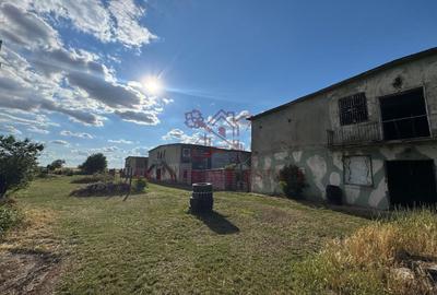 Spațiu industrial, de 16,000 mp, în Orțișoara