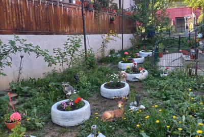 Casă cu 4 camere în Hreațca - 6