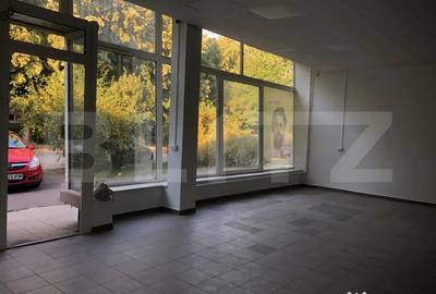 Spațiu comercial, de 265 mp, în Central - 10