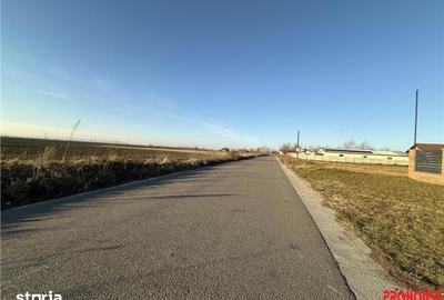 Teren de 3600 mp, în Letea Veche