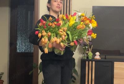 Teren de 404 mp, în Vințu de Jos