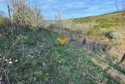 Teren agricol intravilan de 5500 mp, în Sopor - 5