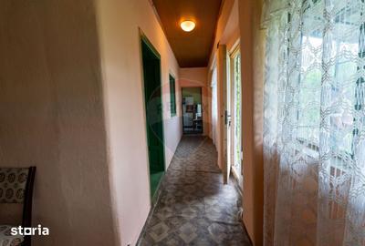Casă cu 6 camere cu Teren 2143 Mp în Ribița - 7