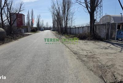 Spațiu comercial, în Theodor Pallady