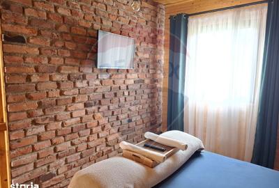 Casă cu 3 camere cu Teren 1256 Mp în Bârsana - 12