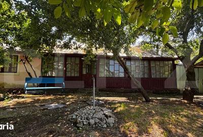 Casă cu 4 camere cu Teren 3345 Mp în Murgași - 18