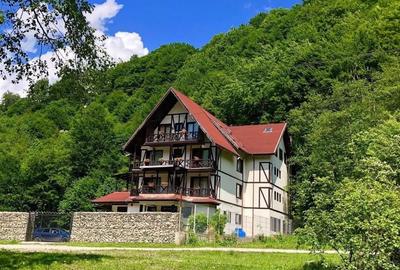 Casă cu 4 camere în Valea Doftanei - 6