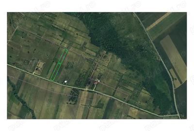 Teren de 5400 mp, în Comarna - 1