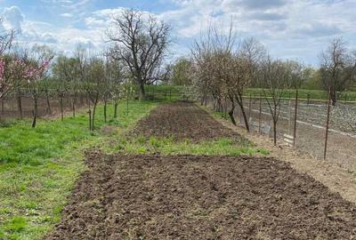 Casă cu 4 camere în Gelmar - 1