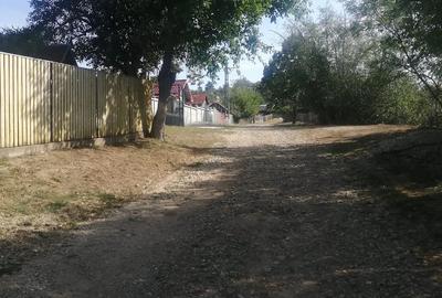 Casă cu 3 camere cu Teren 5000 Mp în Dienci