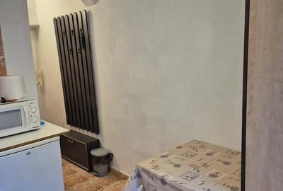 Garsonieră nedecomandată în Rogerius