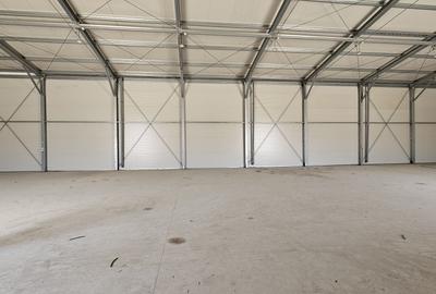 Spațiu industrial, de 300 mp, în Jilava - 2