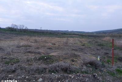 Teren de 1000 mp, în Central - 2