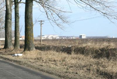 Teren agricol extravilan de 9200 mp, în Afumați - 6
