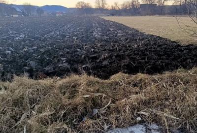 Teren de 4000 mp, în Negrești - 3