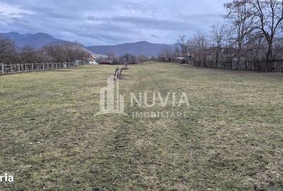 Teren de 2500 mp, în Central - 1