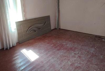 Casă cu 4 camere cu Teren 1300 Mp în Teremia Mare - 7