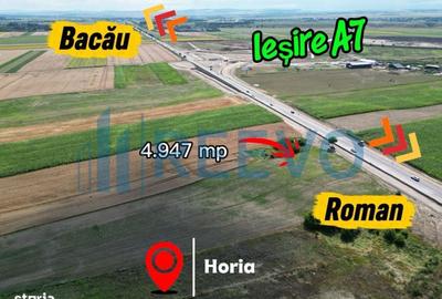 Spațiu comercial, în Horia