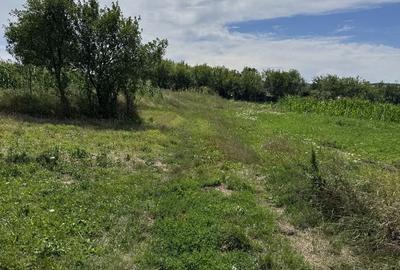 Teren de 5686 mp, în Șimleu Silvaniei - 2