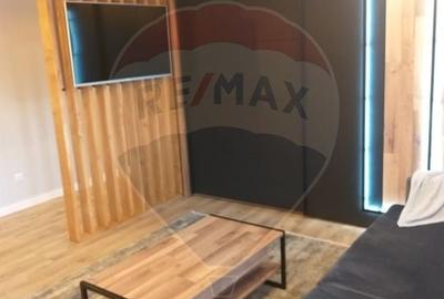 Apartament cu 2 camere semidecomandat, mobilat în Gheorgheni - 3