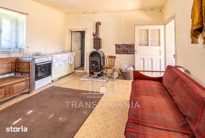 Casă cu 2 camere cu Teren 3463 Mp în Aluniș - 11