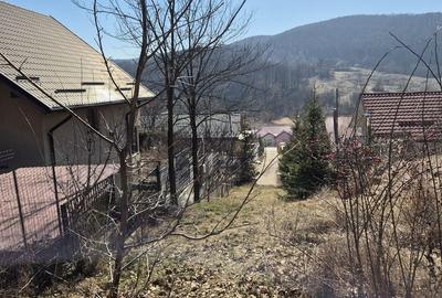 Teren de 1000 mp, în Mărgineni