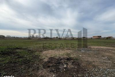 Spațiu comercial, în Moșnița Veche - 5