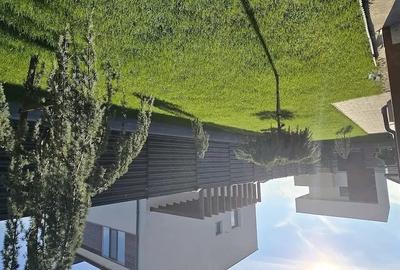 Casă cu Teren 430 Mp în Aninoasa - 4