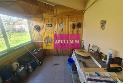 Casă individuală cu 5 camere cu Canalizare în Ghioșești - 30