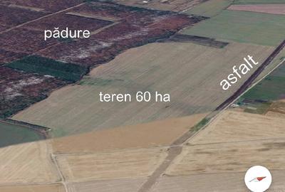 Casă cu 4 camere cu Teren 4200 Mp în Izvoru (Gogoșari) - 3