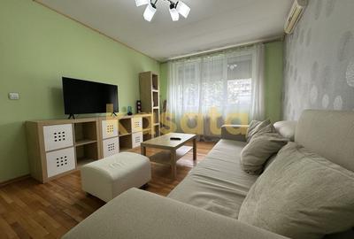 Apartament cu 2 camere decomandat, mobilat în Valea Oltului - 1