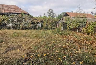 Casă cu 2 camere în Tătărăștii de Jos
