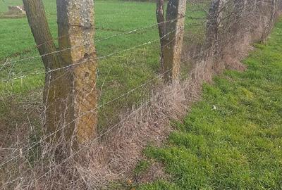 Teren de 3700 mp, în Obad - 2