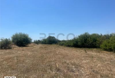Teren de 27400 mp, în Holod