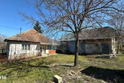 Casă cu 3 camere cu Teren 3349 Mp în Mânău - 1