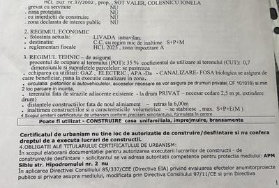 Spațiu comercial, în Daia