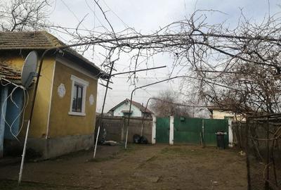 Casă cu 4 camere cu Teren 1844 Mp în Pătulele